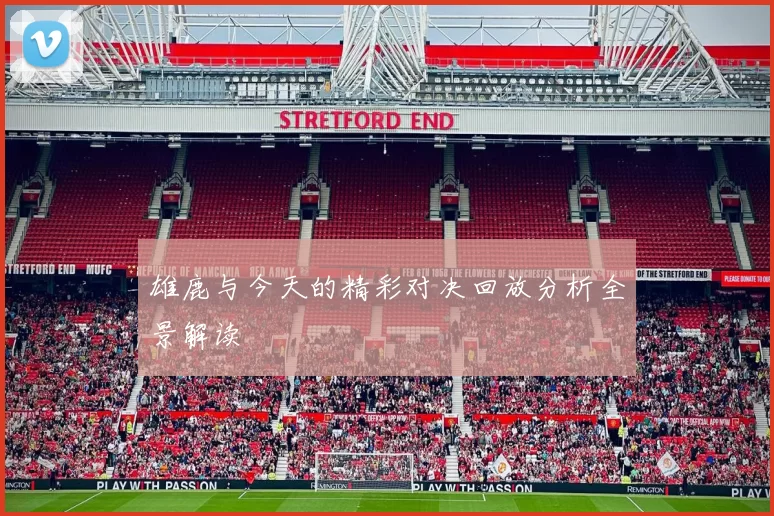 雄鹿与今天的精彩对决回放分析全景解读